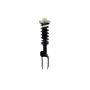 FCS Struts 1345957L Suspension Strut and Coil Spring Assembly