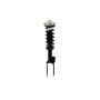 FCS Struts 1345957R Suspension Strut and Coil Spring Assembly