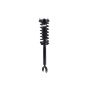 FCS Struts 1345960 Suspension Strut and Coil Spring Assembly