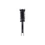 FCS Struts 1345963 Suspension Strut and Coil Spring Assembly