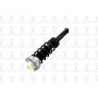 FCS Struts 1345965 Suspension Strut and Coil Spring Assembly