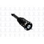 FCS Struts 1345966 Suspension Strut and Coil Spring Assembly