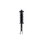 FCS Struts 1345969R Suspension Strut and Coil Spring Assembly
