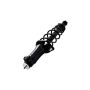 FCS Struts 1345971L Suspension Strut and Coil Spring Assembly