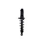 FCS Struts 1345971L Suspension Strut and Coil Spring Assembly