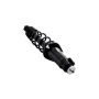 FCS Struts 1345971L Suspension Strut and Coil Spring Assembly