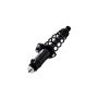FCS Struts 1345971R Suspension Strut and Coil Spring Assembly
