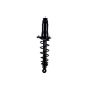 FCS Struts 1345971R Suspension Strut and Coil Spring Assembly