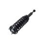 FCS Struts 1345978L Suspension Strut and Coil Spring Assembly
