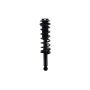 FCS Struts 1355003 Suspension Strut and Coil Spring Assembly