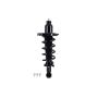 FCS Struts 1355016L Suspension Strut and Coil Spring Assembly
