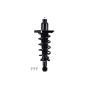 FCS Struts 1355016R Suspension Strut and Coil Spring Assembly