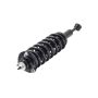 FCS Struts 1355017L Suspension Strut and Coil Spring Assembly