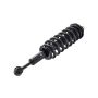 FCS Struts 1355017R Suspension Strut and Coil Spring Assembly