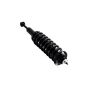 FCS Struts 1355027L Suspension Strut and Coil Spring Assembly