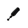 FCS Struts 1355027L Suspension Strut and Coil Spring Assembly