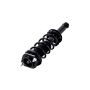 FCS Struts 1355028 Suspension Strut and Coil Spring Assembly