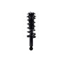FCS Struts 1355028 Suspension Strut and Coil Spring Assembly