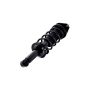 FCS Struts 1355028 Suspension Strut and Coil Spring Assembly