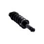 FCS Struts 1355028 Suspension Strut and Coil Spring Assembly