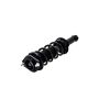 FCS Struts 1355029 Suspension Strut and Coil Spring Assembly