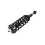 FCS Struts 1355030L Suspension Strut and Coil Spring Assembly