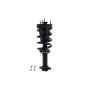 FCS Struts 1355037 Suspension Strut and Coil Spring Assembly