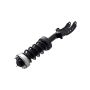 FCS Struts 1355038L Suspension Strut and Coil Spring Assembly