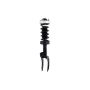FCS Struts 1355038L Suspension Strut and Coil Spring Assembly
