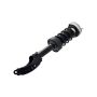FCS Struts 1355038L Suspension Strut and Coil Spring Assembly