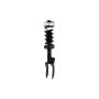 FCS Struts 1355038R Suspension Strut and Coil Spring Assembly