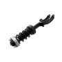 FCS Struts 1355039L Suspension Strut and Coil Spring Assembly