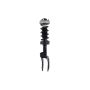 FCS Struts 1355039L Suspension Strut and Coil Spring Assembly