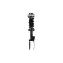 FCS Struts 1355039R Suspension Strut and Coil Spring Assembly