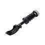 FCS Struts 1355039R Suspension Strut and Coil Spring Assembly