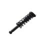 FCS Struts 1355049L Suspension Strut and Coil Spring Assembly