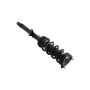 FCS Struts 1355050L Suspension Strut and Coil Spring Assembly