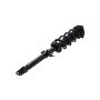 FCS Struts 1355050L Suspension Strut and Coil Spring Assembly