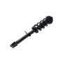 FCS Struts 1355050R Suspension Strut and Coil Spring Assembly