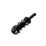 FCS Struts 1355059 Suspension Strut and Coil Spring Assembly