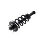 FCS Struts 1355062 Suspension Strut and Coil Spring Assembly