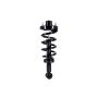 FCS Struts 1355062 Suspension Strut and Coil Spring Assembly