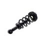 FCS Struts 1355062 Suspension Strut and Coil Spring Assembly