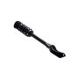 FCS Struts 1355065L Suspension Strut and Coil Spring Assembly