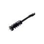 FCS Struts 1355065L Suspension Strut and Coil Spring Assembly