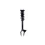 FCS Struts 1355065R Suspension Strut and Coil Spring Assembly