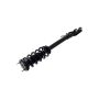 FCS Struts 1355065R Suspension Strut and Coil Spring Assembly