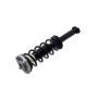 FCS Struts 1355067L Suspension Strut and Coil Spring Assembly