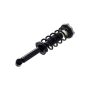 FCS Struts 1355067L Suspension Strut and Coil Spring Assembly