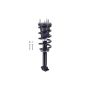 FCS Struts 1355071 Suspension Strut and Coil Spring Assembly